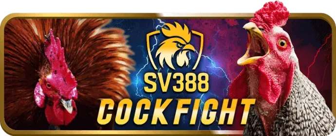 Hướng dẫn chơi Tài Xỉu từng bước tại 8 bet