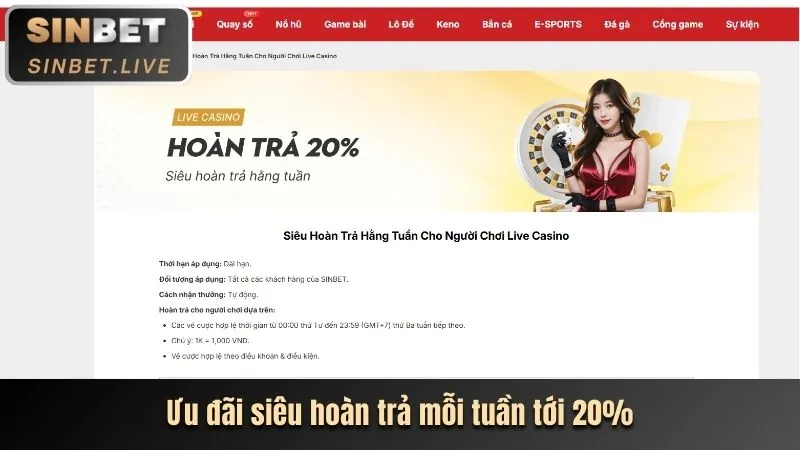 Sứ mệnh và tầm nhìn của 8 bet